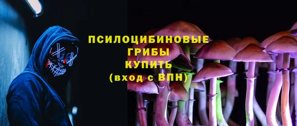 ГАЛЛЮЦИНОГЕННЫЕ ГРИБЫ Горняк