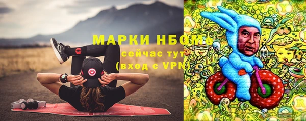 ГАЛЛЮЦИНОГЕННЫЕ ГРИБЫ Горняк