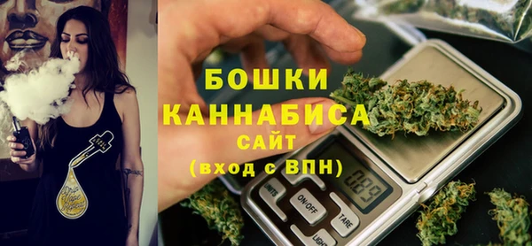 ГАЛЛЮЦИНОГЕННЫЕ ГРИБЫ Горняк