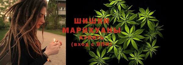 ГАЛЛЮЦИНОГЕННЫЕ ГРИБЫ Горняк